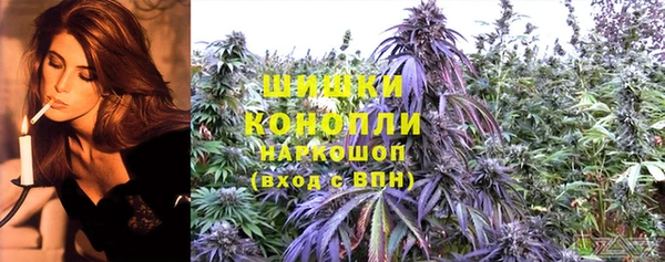 гидра Наволоки